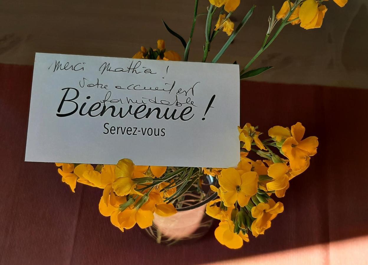 Le Moutardier : chaleureux T2 au coeur de ville Dijon Extérieur photo